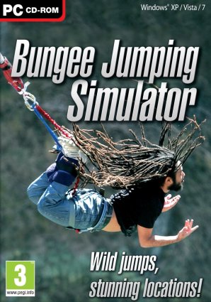 Bungee Jumping Simulator box art