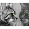 compare prices for Speedlink Silk Mouse pad - Cat on PC