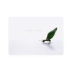 compare prices for Speedlink 11.1 inch Lares XS Netbook Cover - Working Ant on PC
