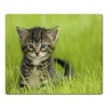 compare prices for Speedlink Silk Mouse pad - Baby Cat on PC