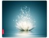 compare prices for Speedlink Silk Mousepad Lily (sl-6242-lily) on PC