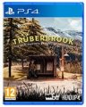 compare prices for Trüberbrook on PS4