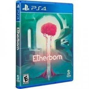 Etherborn box art